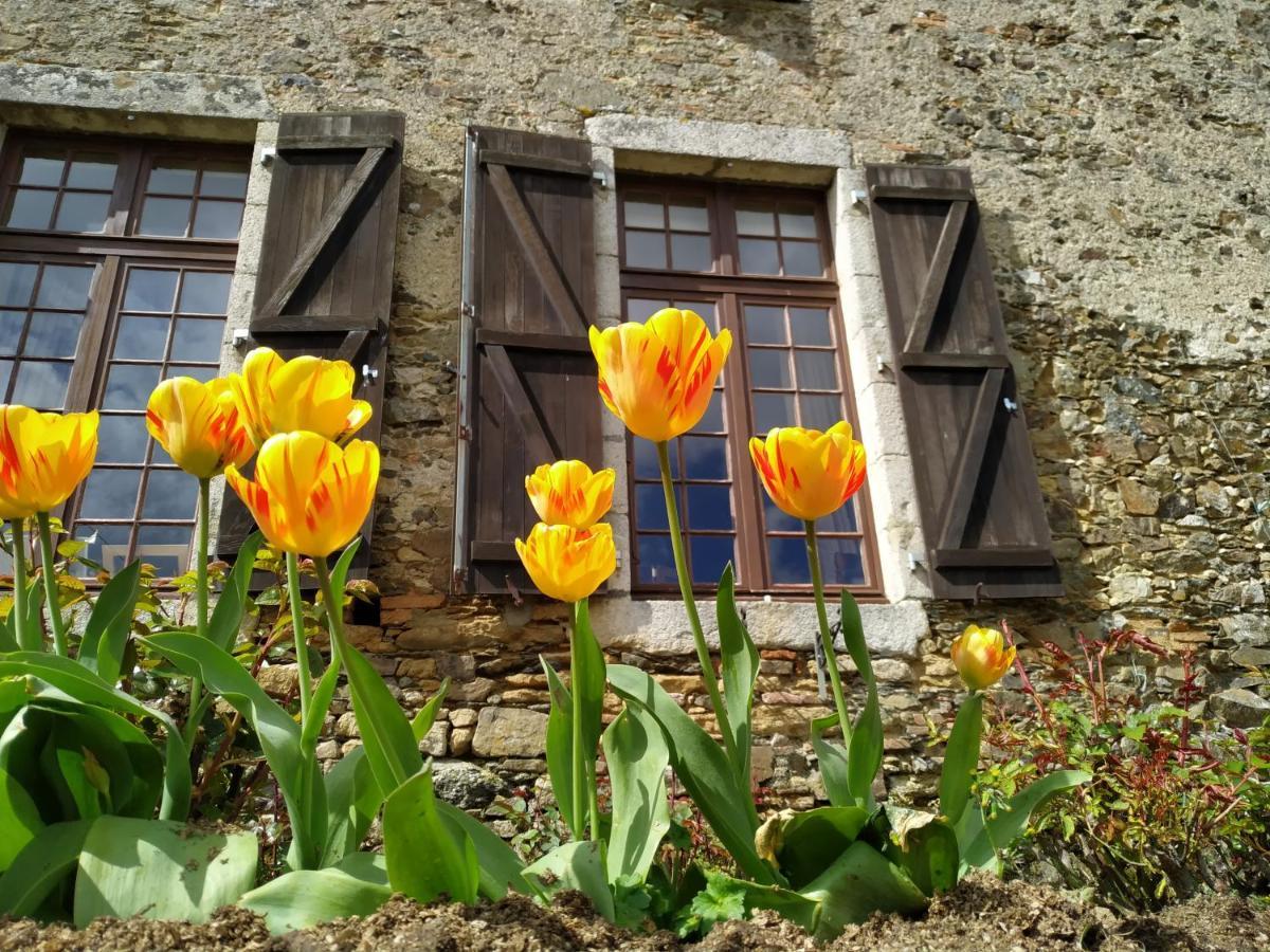 Chambre D'Hote Manoir De La Baudonniere Monsireigne Exteriér fotografie